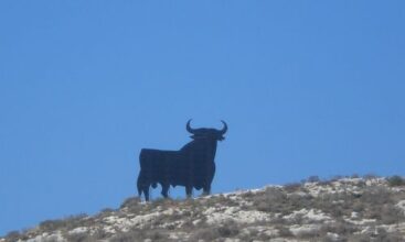 Andalusien: Spaniens sonniger Süden