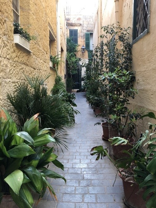 Gozo Malta TUI Gasse Städtereise Insel Sprachreise