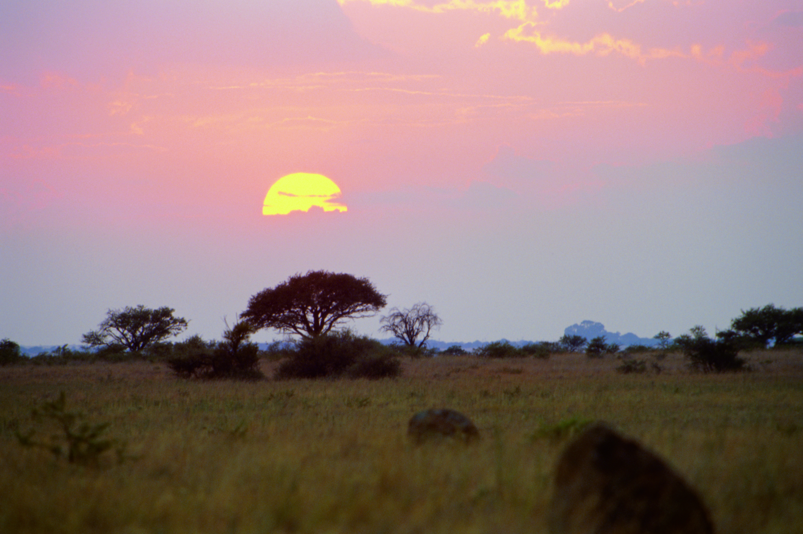 Moskitoschutz_Afrika_Safari_Fernreise