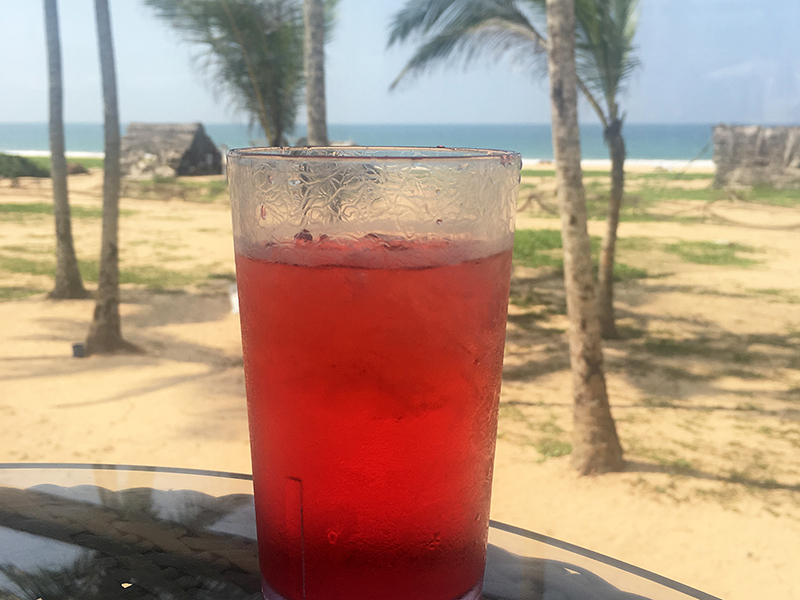 Bei jedem Vollmond ist Feiertag auf Sri Lanka. Alkohol ist an 