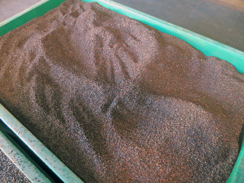 Von der Teepflanze zum getrockneten Tee in seiner Urform: Auf Sri Lanka entsteht der berühmte Ceylontee.