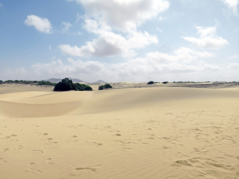 Ein Meer aus Sand: die Wüste Deserto de Viana.