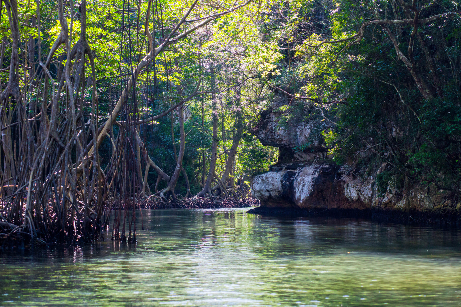 TUI Los Haitises Nationalpark