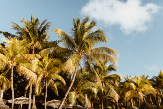 Wieso Mauritius auf jeden Fall eine Reise wert ist.