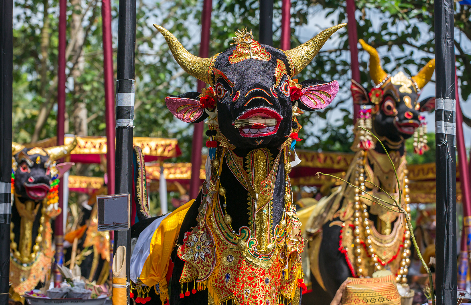 TUI Zeremonie Feuerbestattung Bali