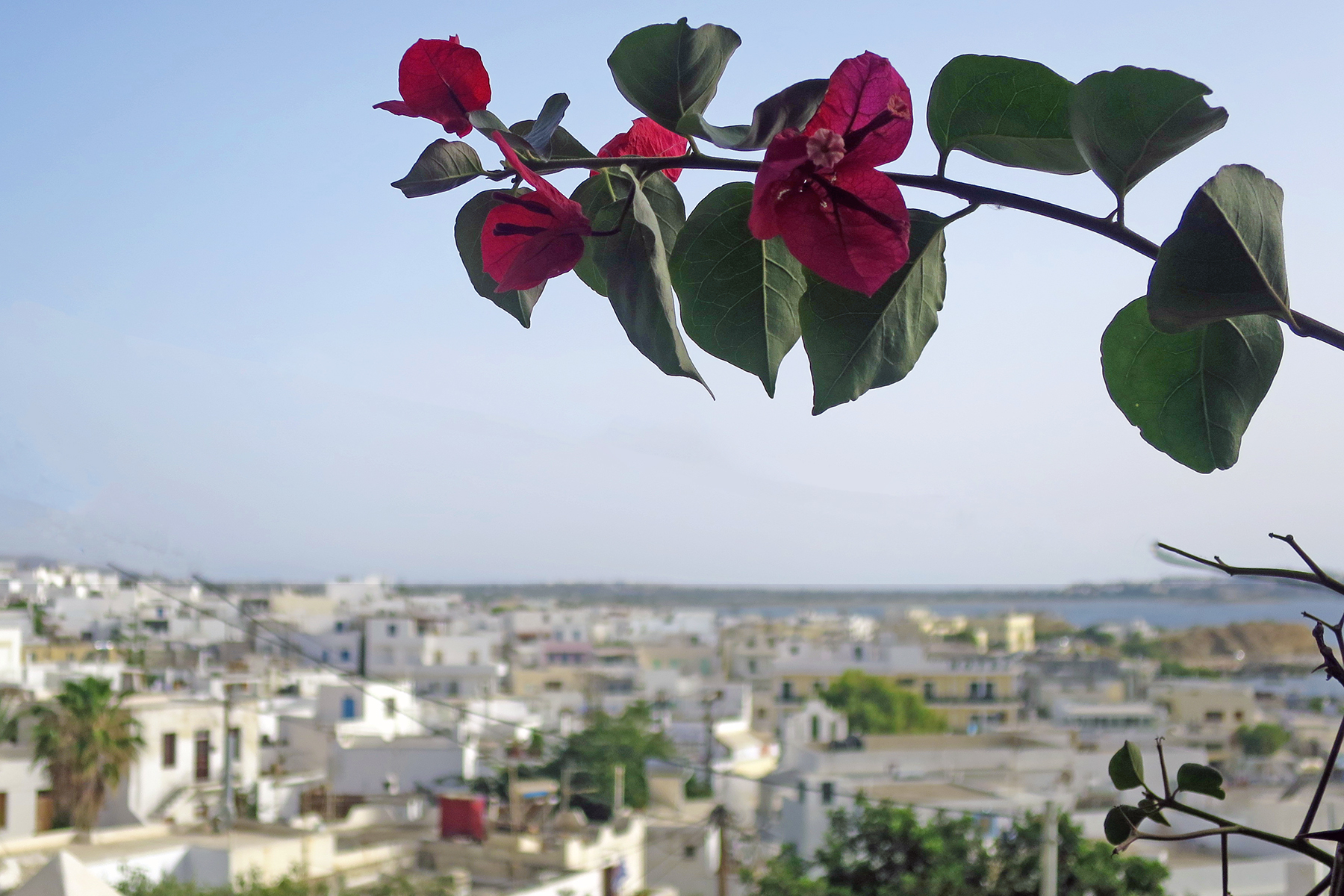 7 Highlights, die man auf Naxos erleben muss