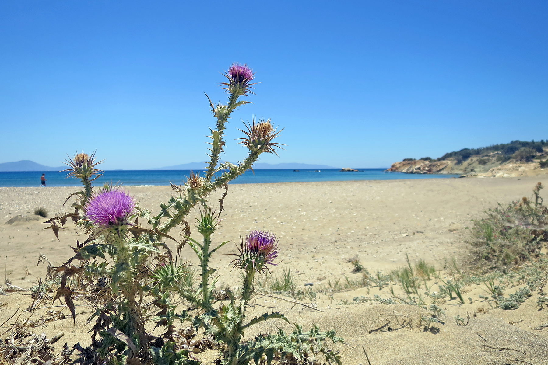 7 Highlights, die man auf Naxos erleben muss