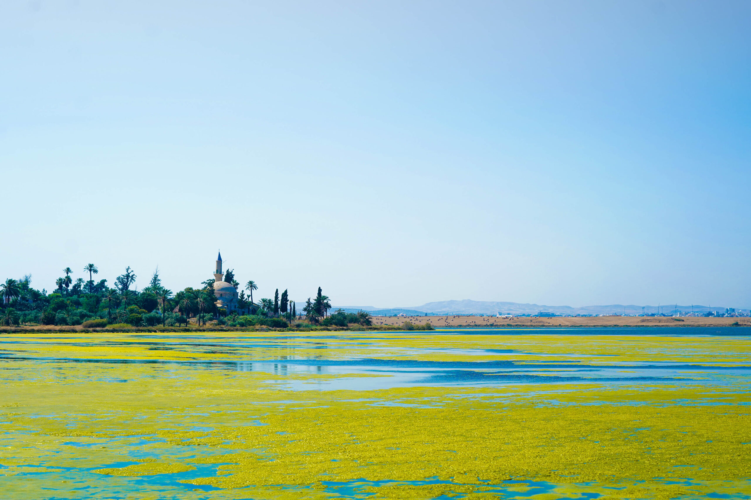 Zypern Moschee Salzsee Larnaka