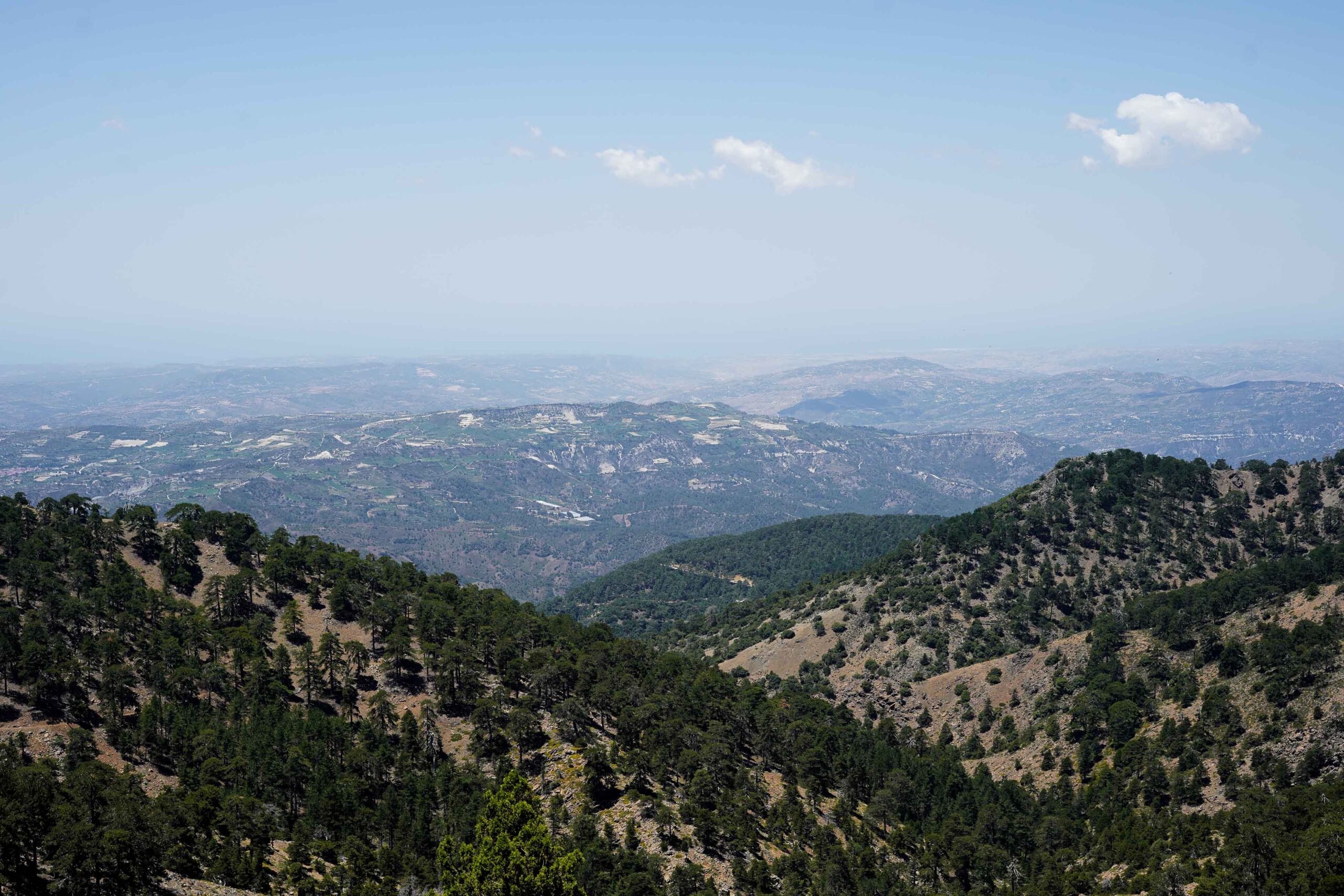 Ausflüge Zypern - Troodos Gebirge Ausblick