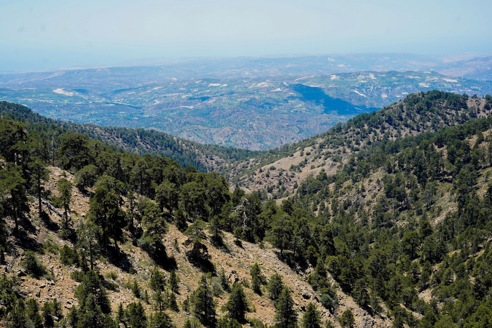 Troodos Gebirge Ausblick