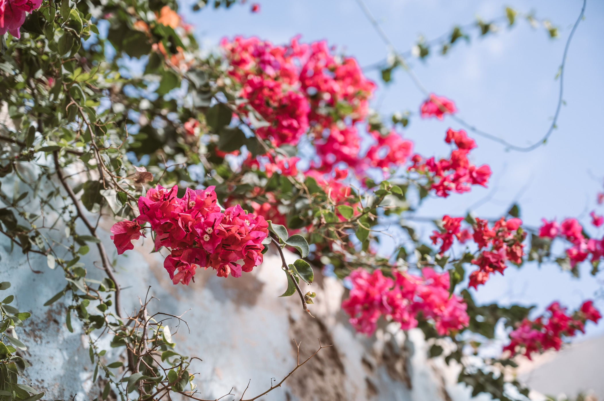 Sal Rei Boa Vista Kapverden