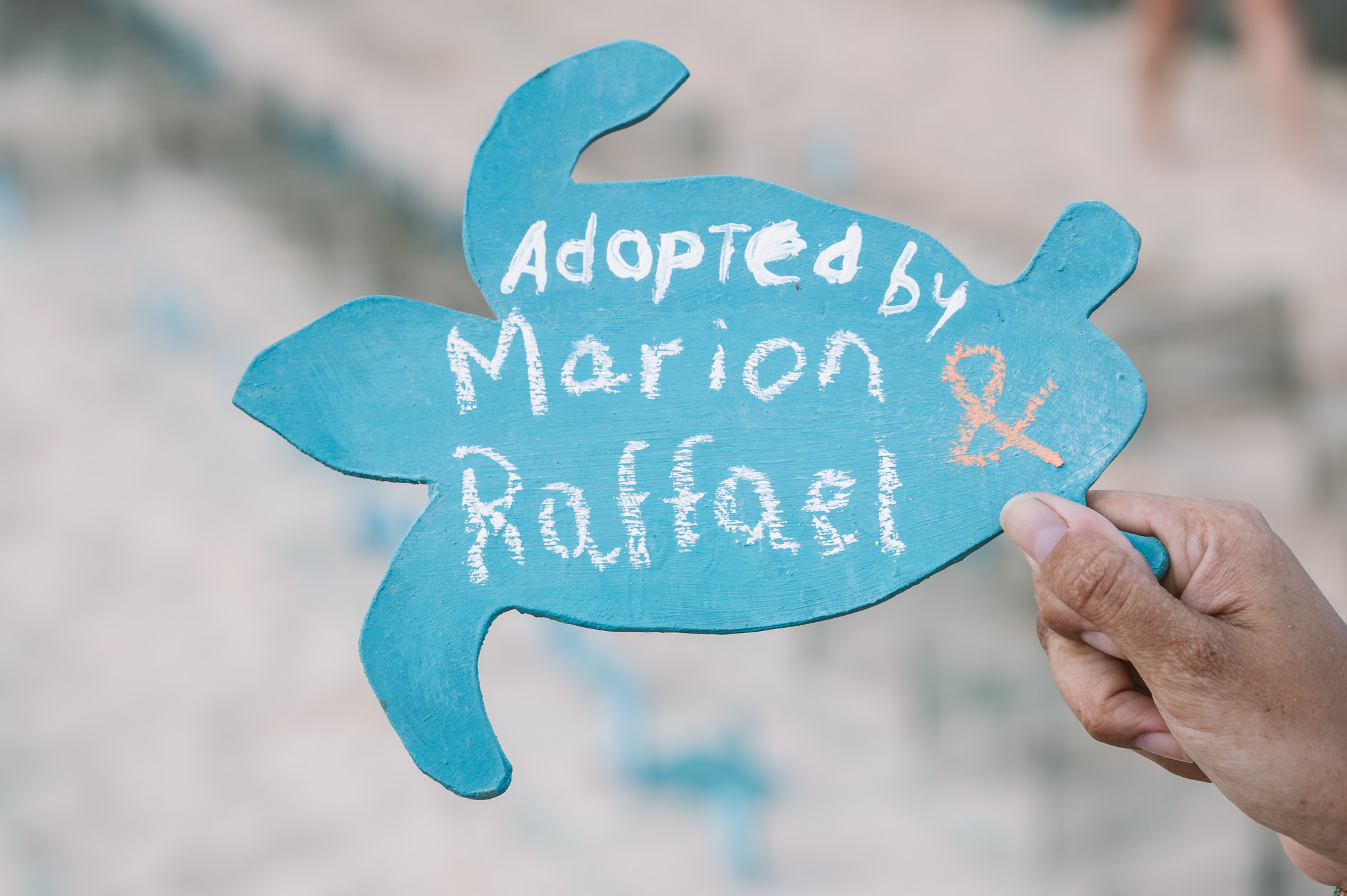 Project Biodiversity Turtle Foundation TUI Care Foundation Sal Kapverden