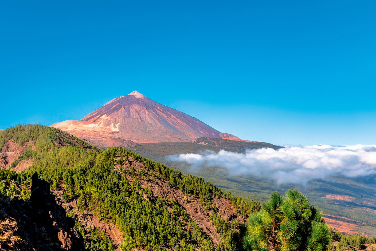Nationalpark Teide Teneriffa