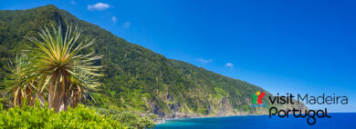 4 Fakten über Madeira
