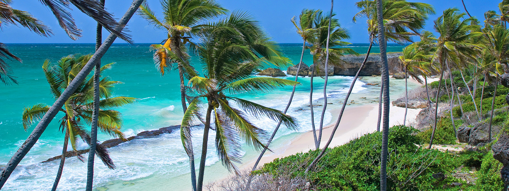 Barbados Urlaub 