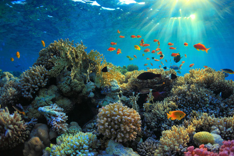 Hurghada & Safaga, Sea Garden vom 2018-06-29 bis 2018-07-06 für 309 EUR p.P.