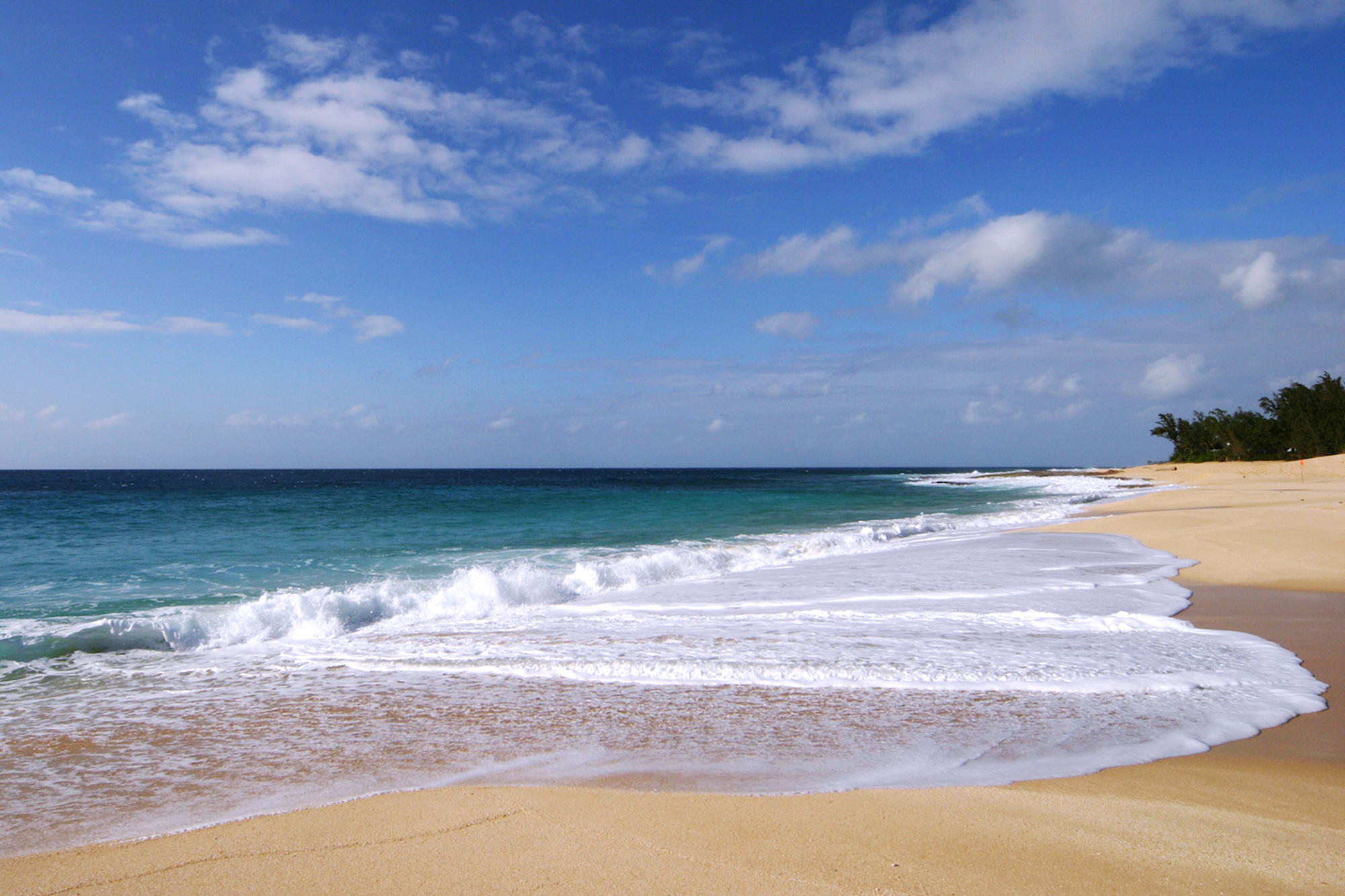 hawaii urlaub » surfen strand  inselhopping mit tui