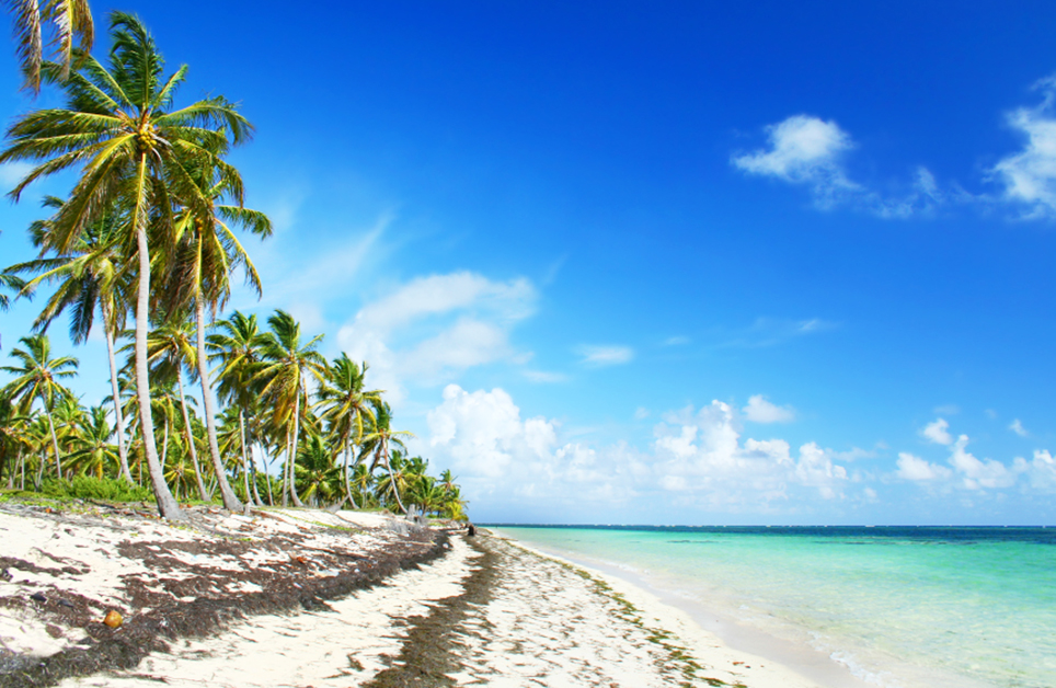 Jamaika Urlaub Weihnachten 2022 All Inclusive Jamaika » Urlaub All Inklusive buchen TUI.at Jamaika Urlaub Weihnachten 2022 All Inclusive Jamaika » Urlaub All Inklusive buchen TUI.at